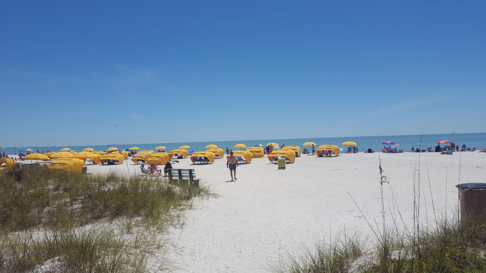 Hello, St. Pete Showers!