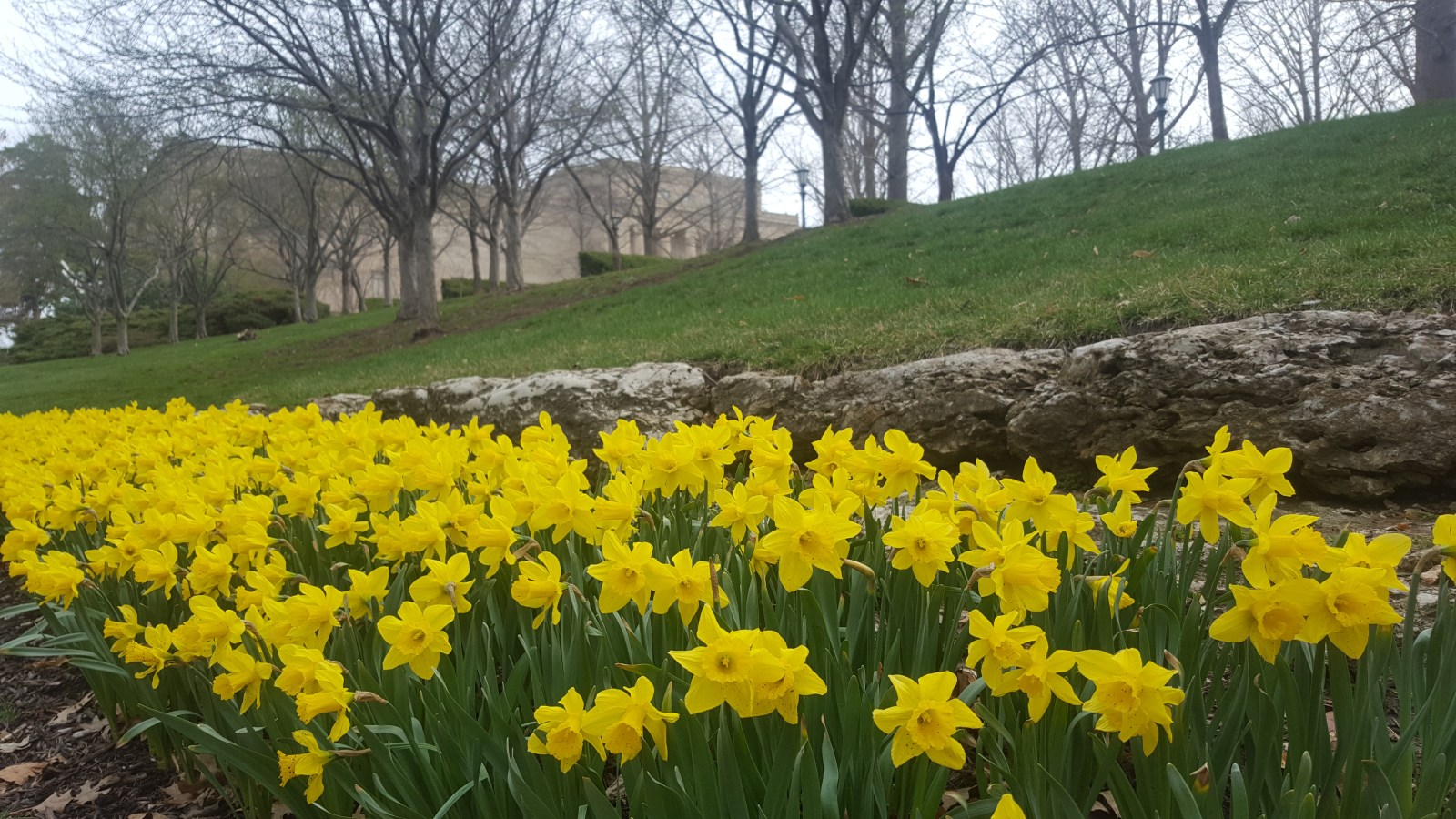 KC Coffee Conversations