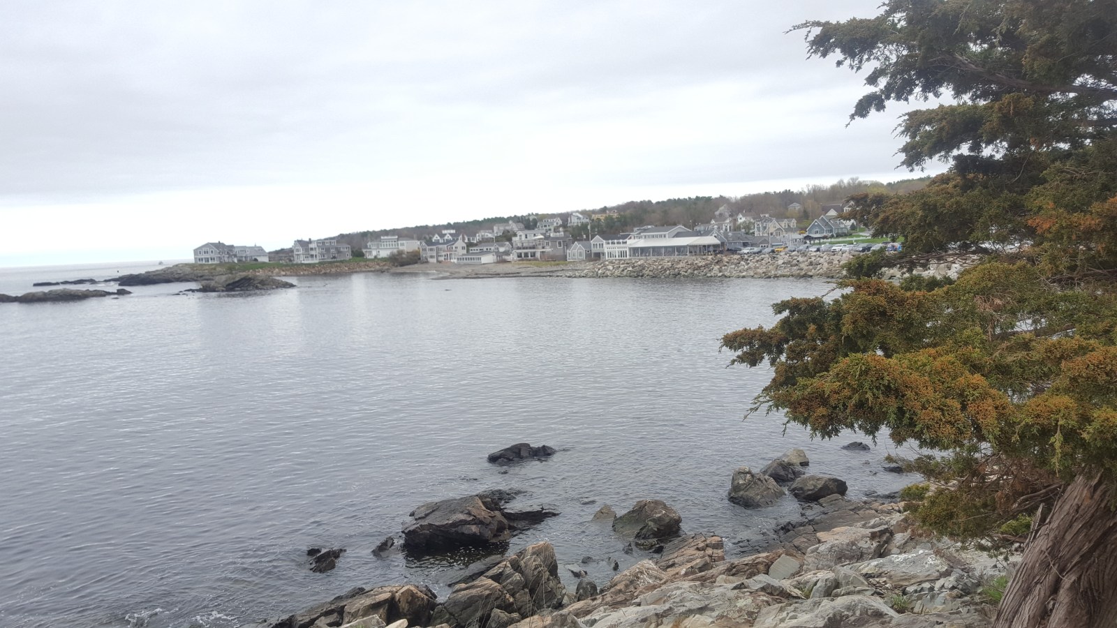 Maine Lobster & Seafood