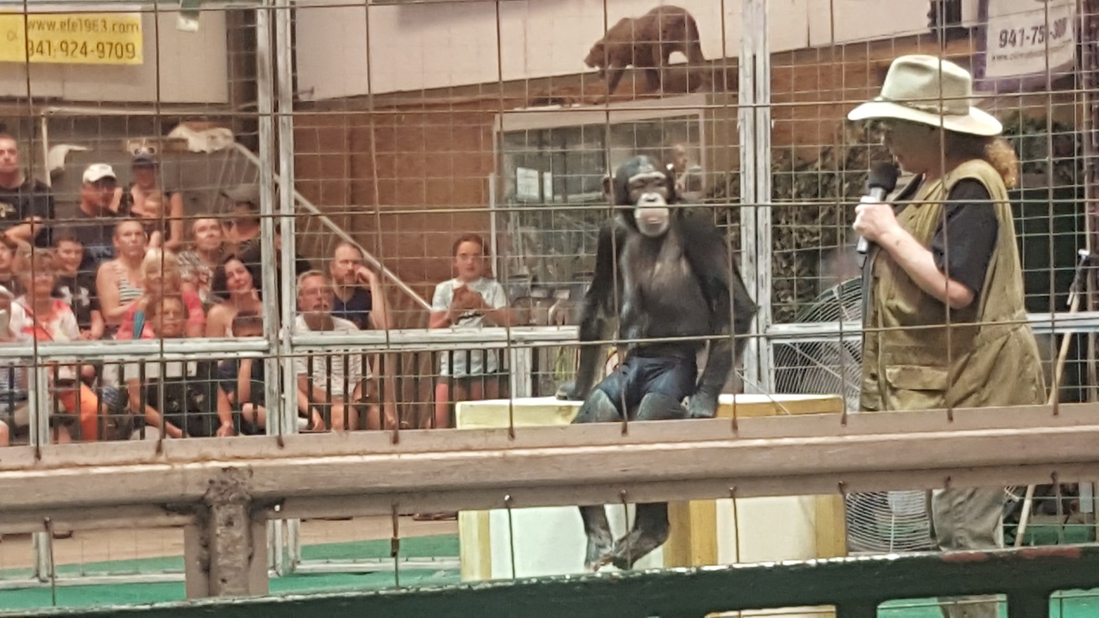 Myakka State Park & Cats