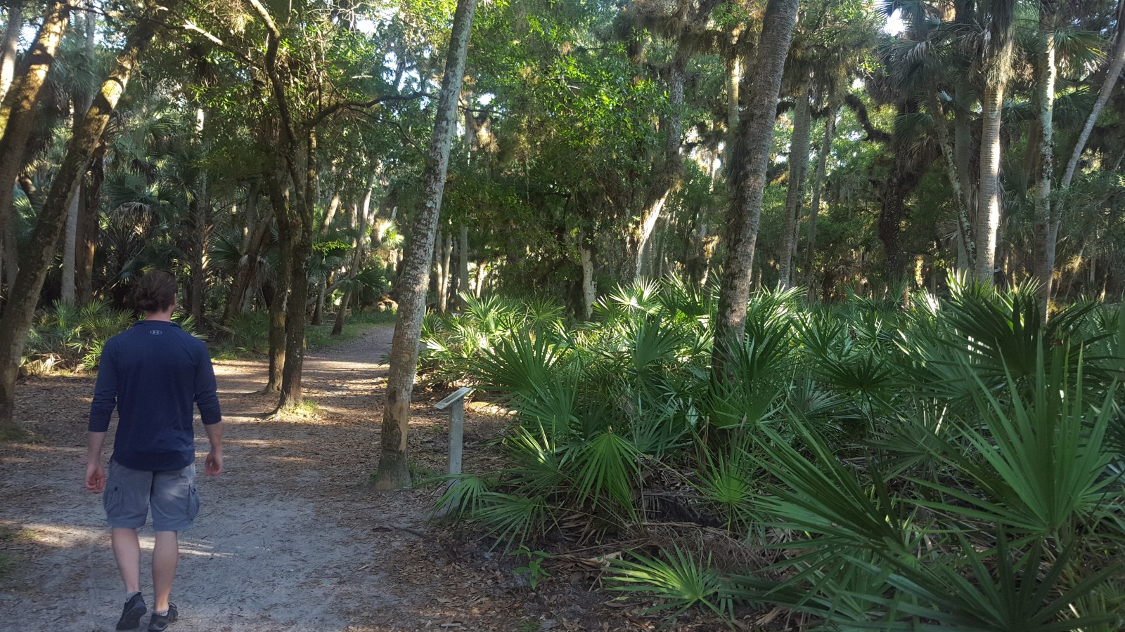 Myakka State Park & Cats