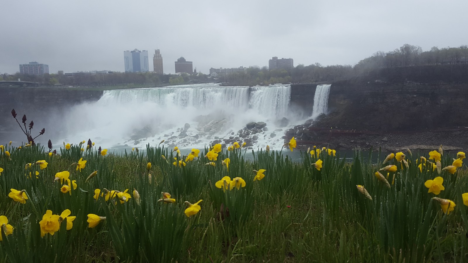 Rainy Niagara Falls
