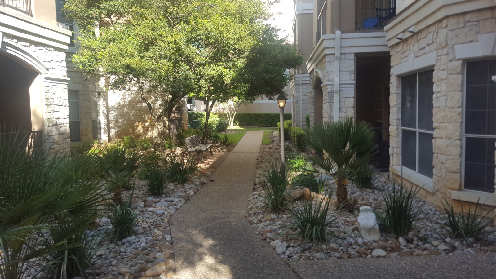 Southern Friends, Trees & Coffee