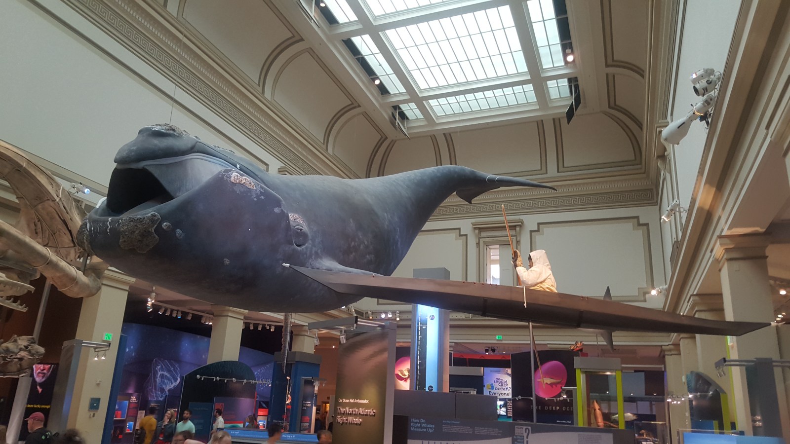 The Nation's Front Lawn