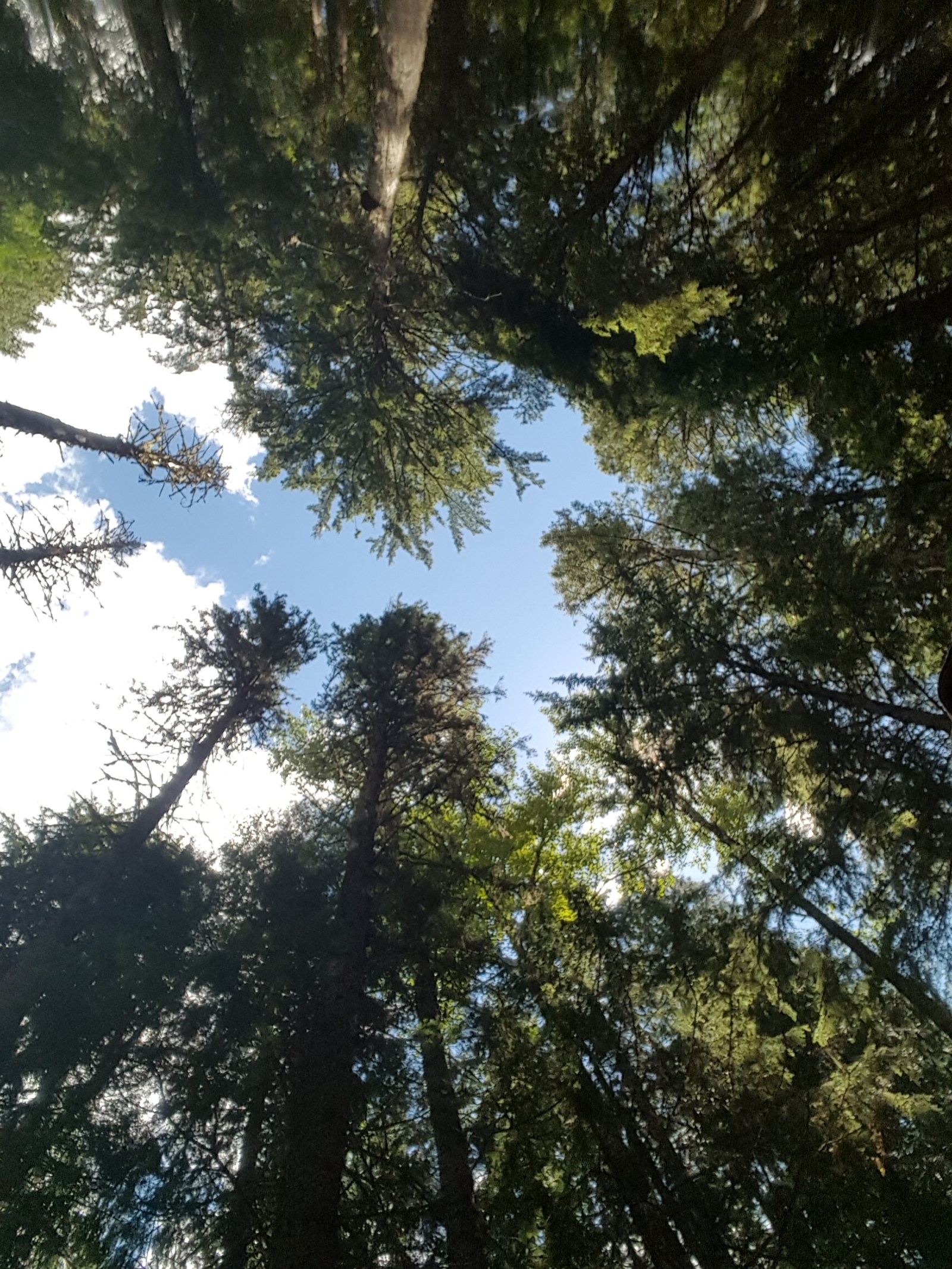 Planning to Car Camp for Over +30 Days